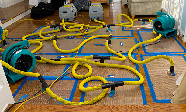 Professional Structural Drying And Dehumidification technician working in Colfax, IL